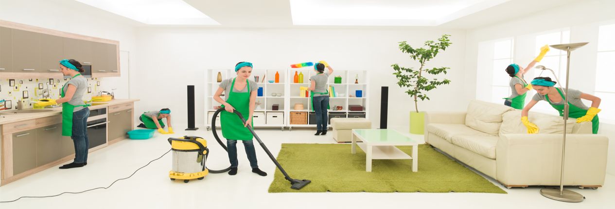 Serviços De Limpezas Domésticas • Euroclean 8830